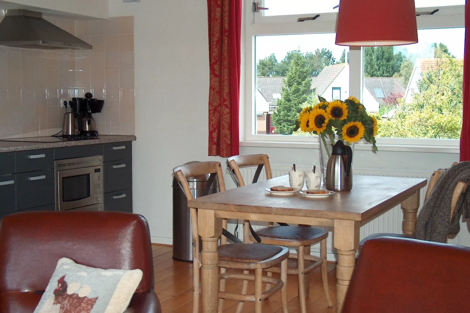 Havenresort Terherne 1-Kitchen
