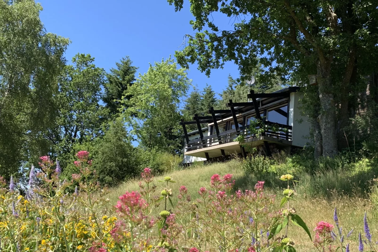 Panoramahaus-Gardens summer