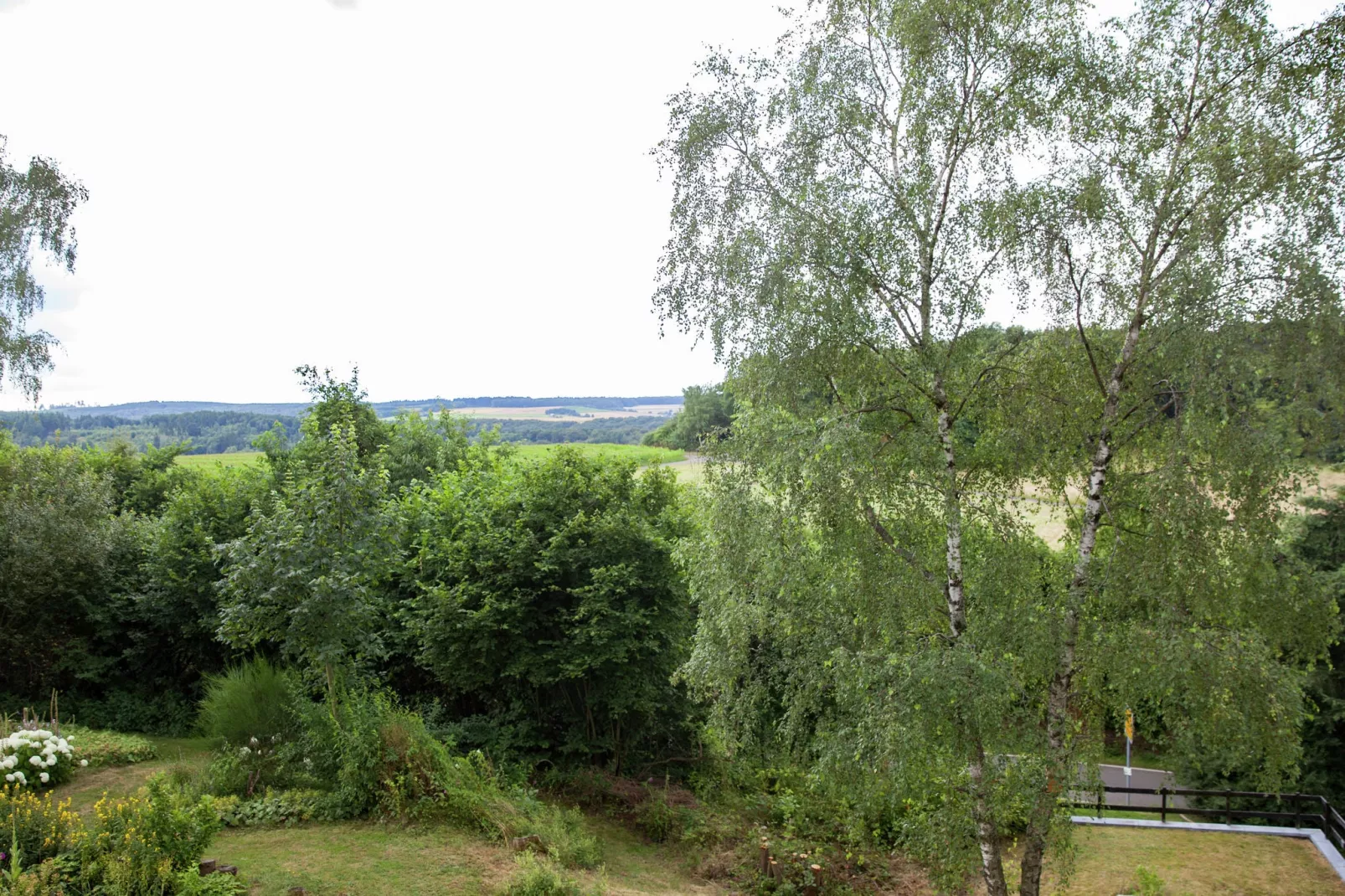 Panoramahaus-View summer
