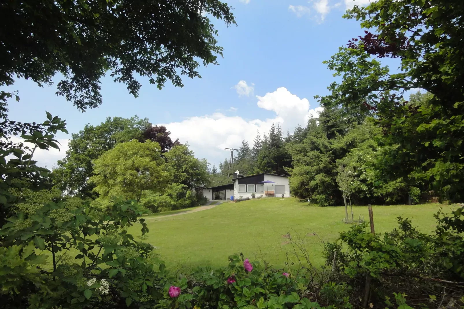 Pilmer 20-Exterior summer