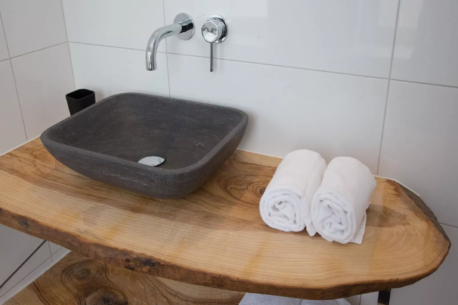 Pleinzicht 6a-Bathroom