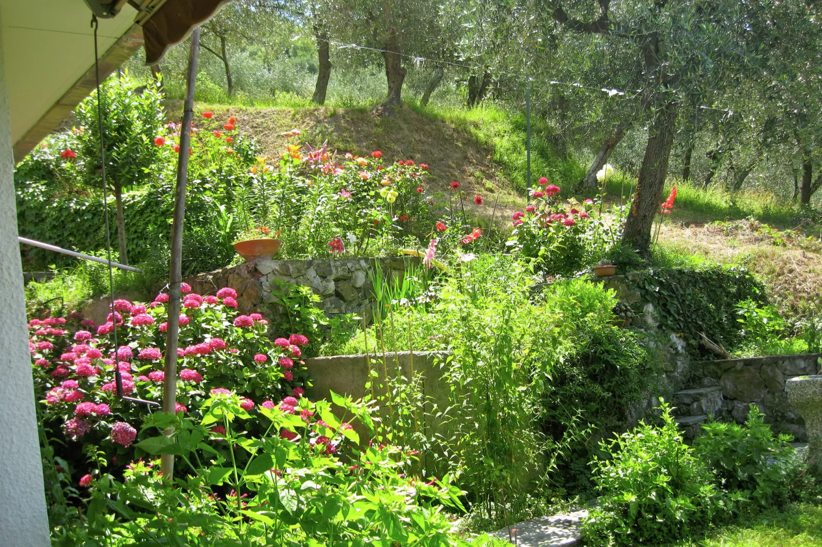 Pizzamiglio Due-Gardens summer