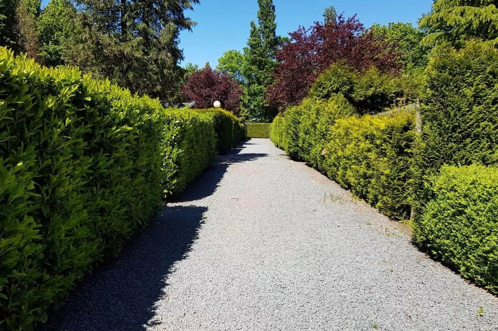 De Pimpernel-Areas summer 1km