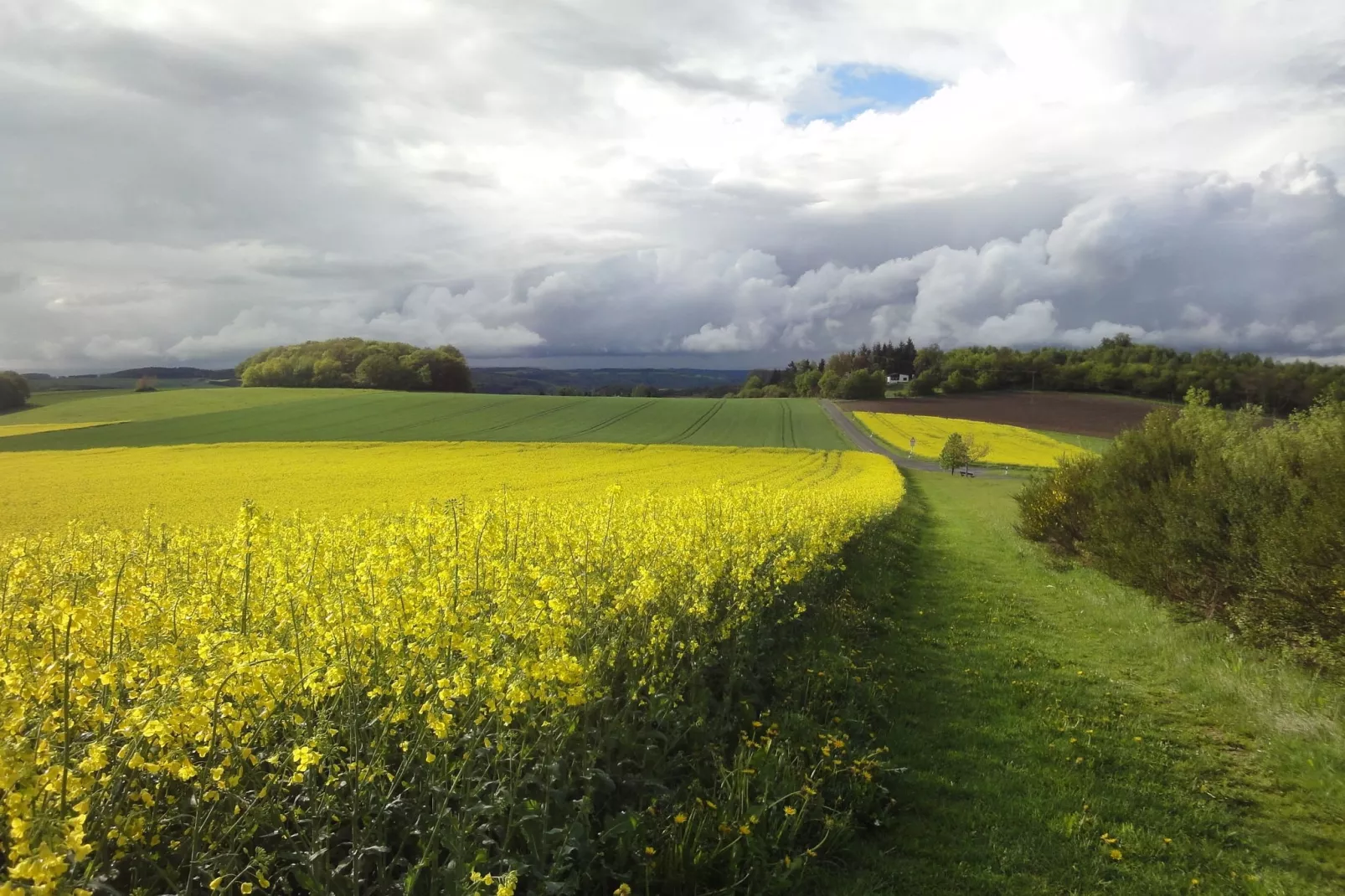 Pilmer 20-Areas summer 1km