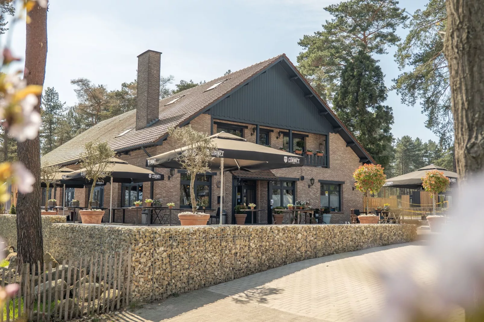Resort Hoge Kempen 3-Park facilities