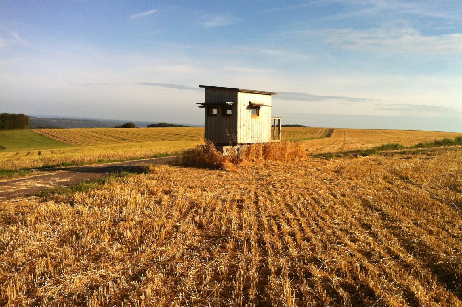 Pilmer 20-Areas summer 1km