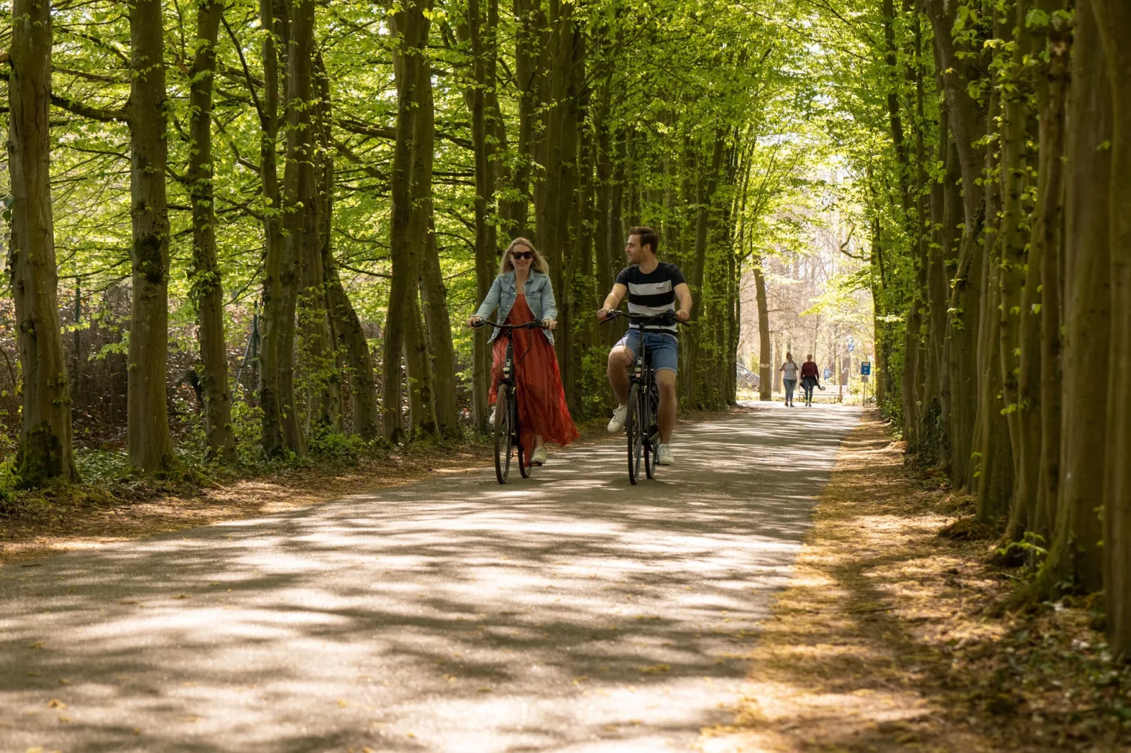 Resort Hoge Kempen 3-Areas summer 5km