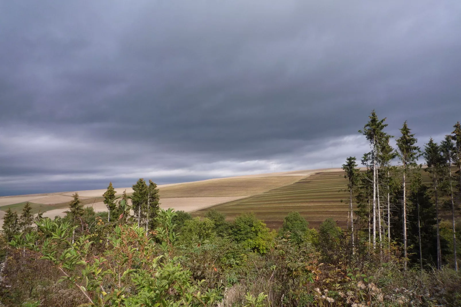 Pilmer 20-Areas summer 1km