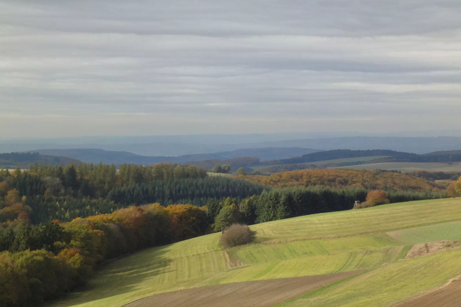 Pilmer 20-Areas summer 5km