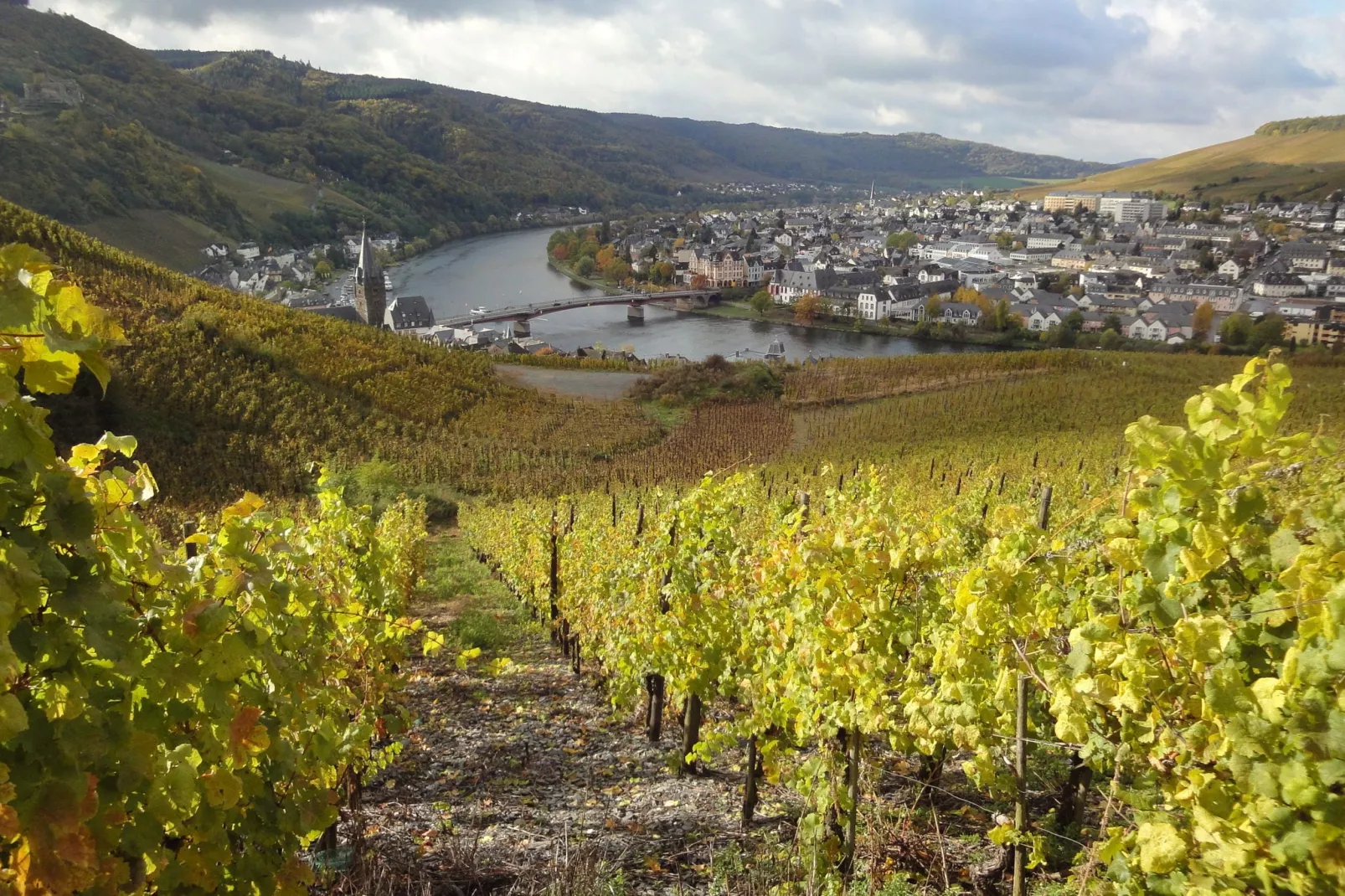 Pilmer 20-Areas summer 20km