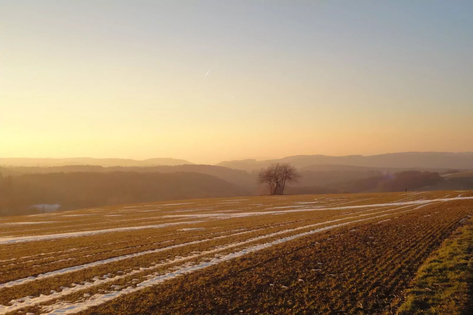 Pilmer 20-Area winter 5km