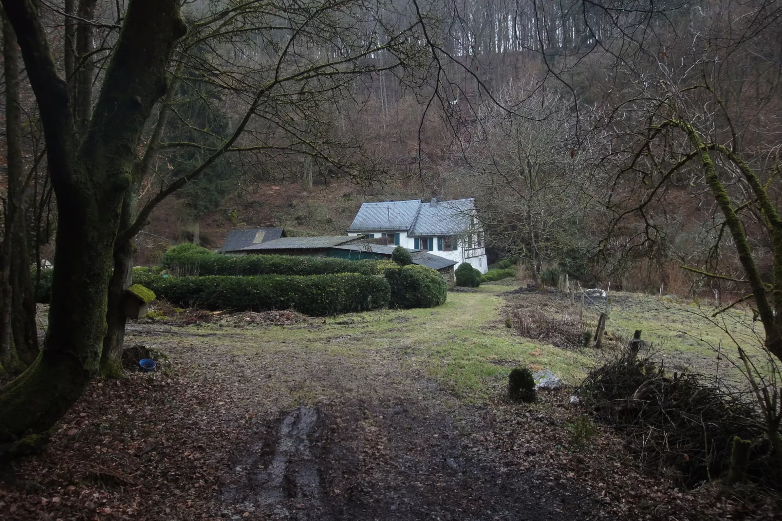 Pilmer 20-Area winter 5km