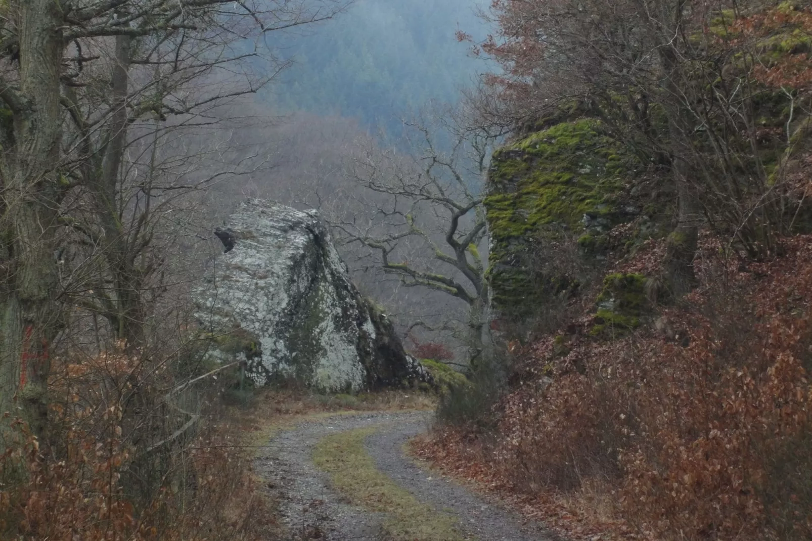 Pilmer 20-Area winter 5km