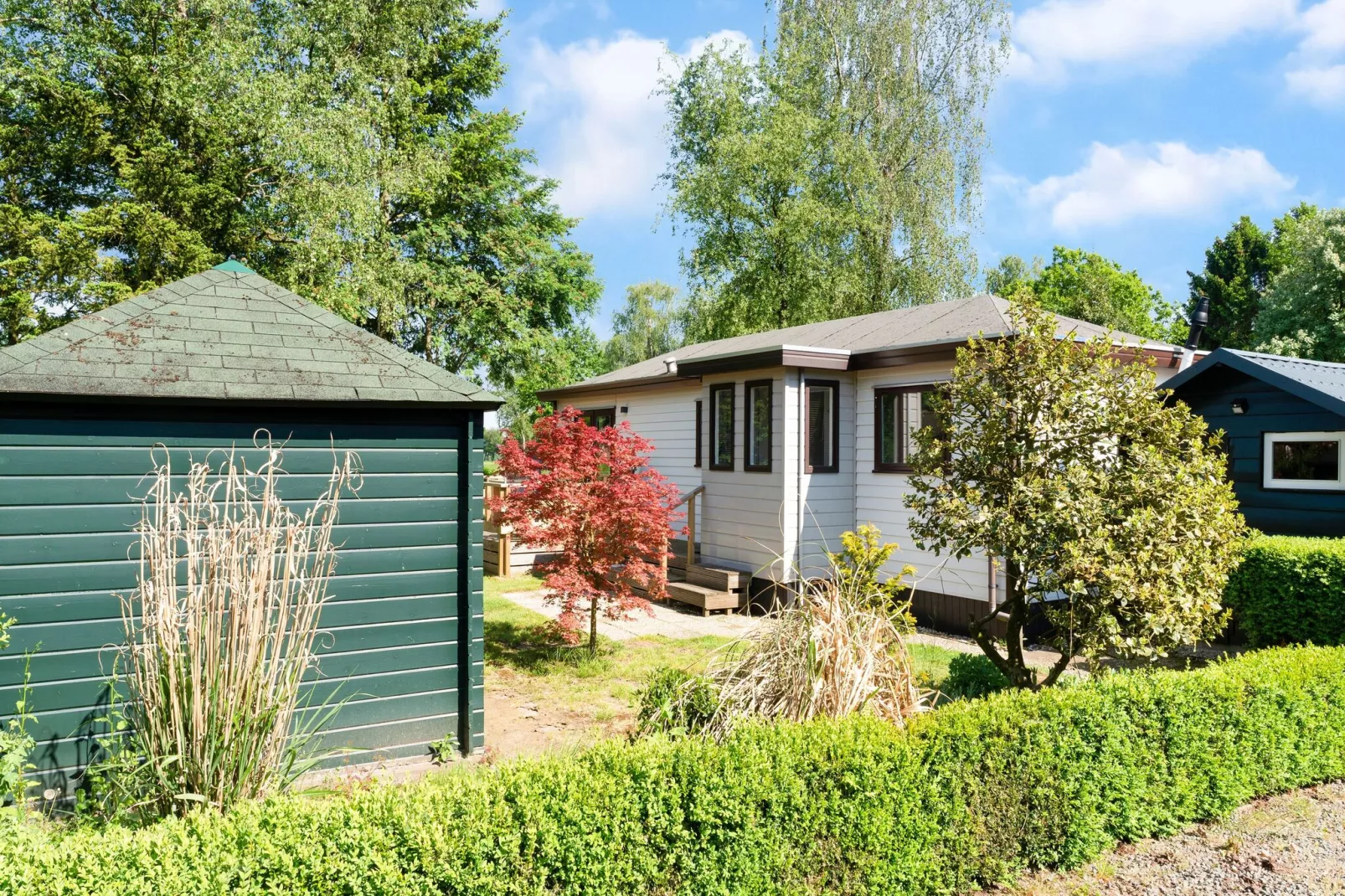 De Veluwse Kip-Exterior summer