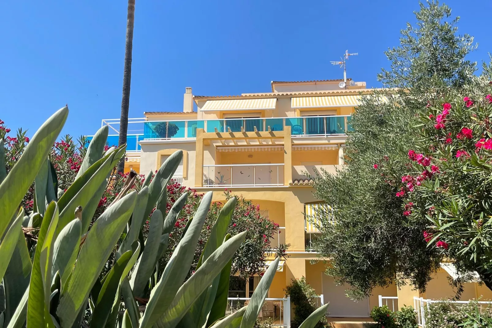 Apartment La Riviera-Piscine