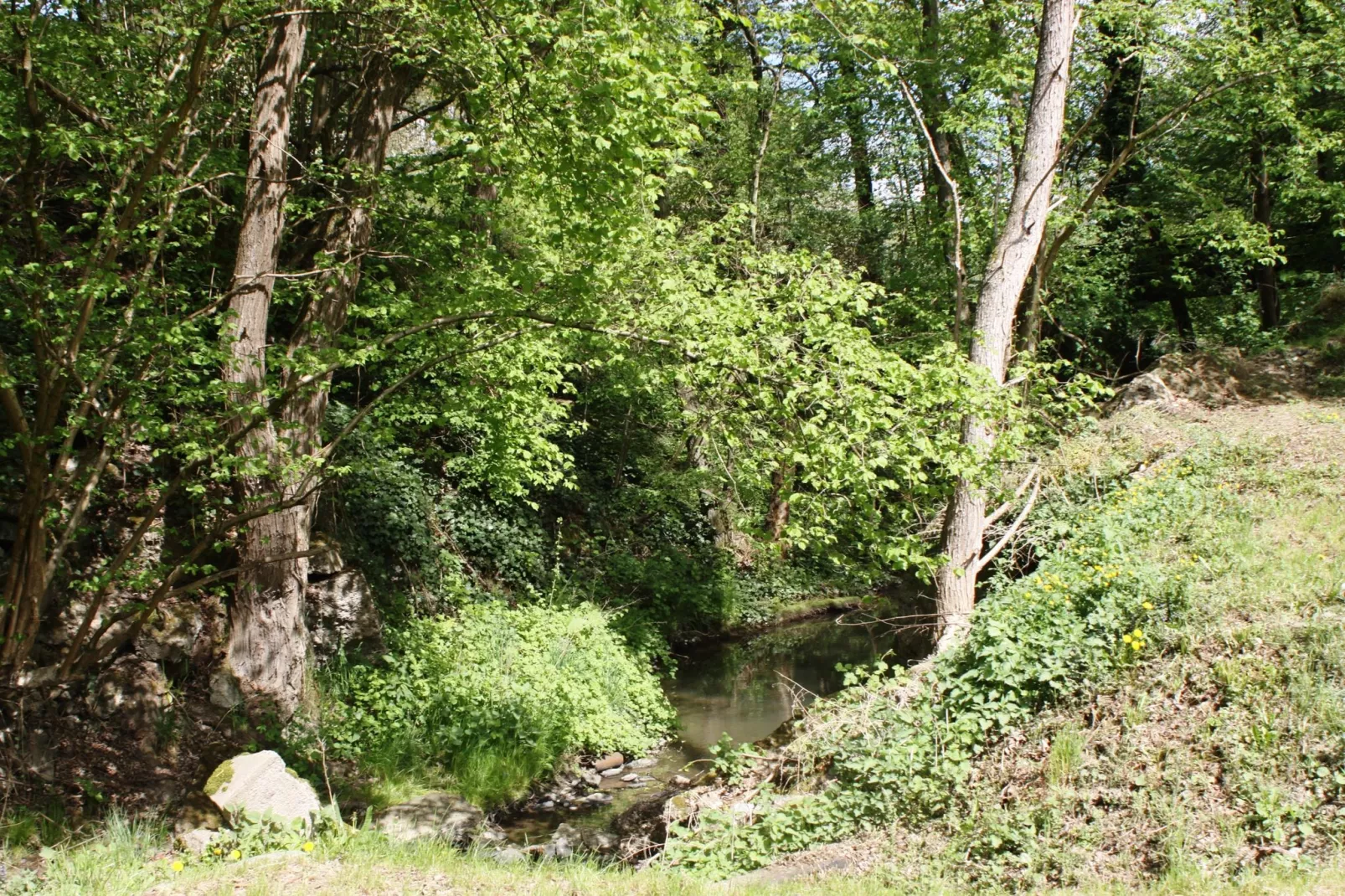 Alte Mühle-Areas summer 1km
