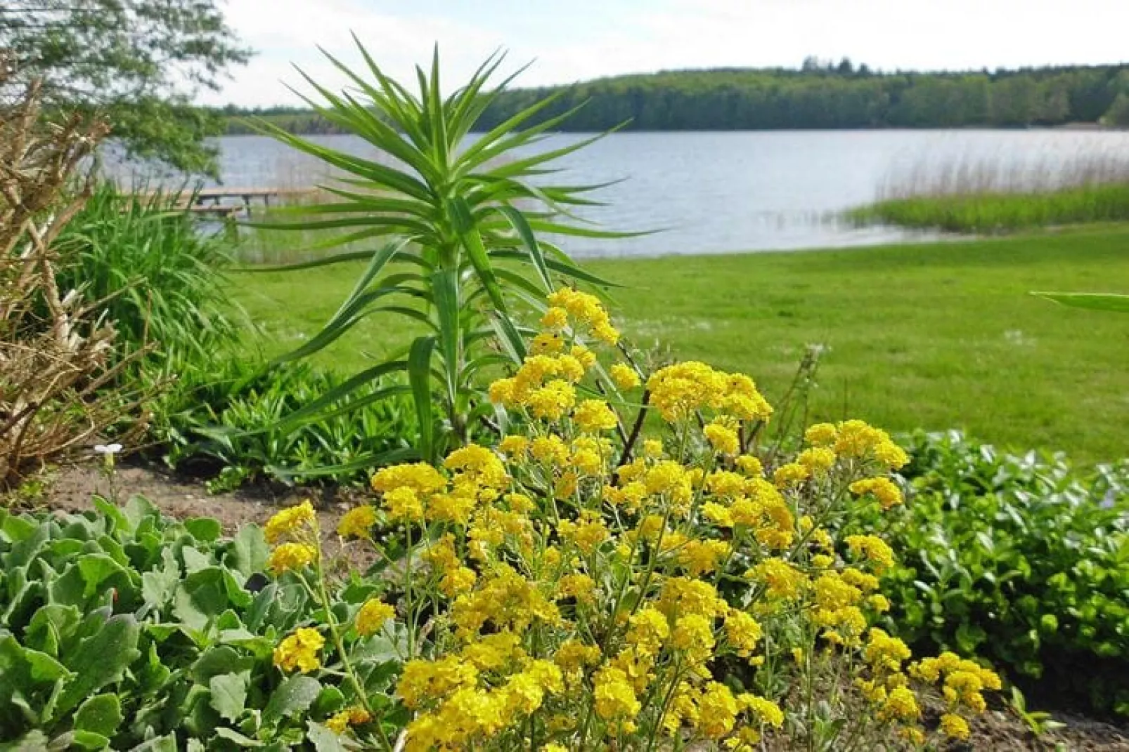 Reihenbungalow 35 qm-Gärten Sommer