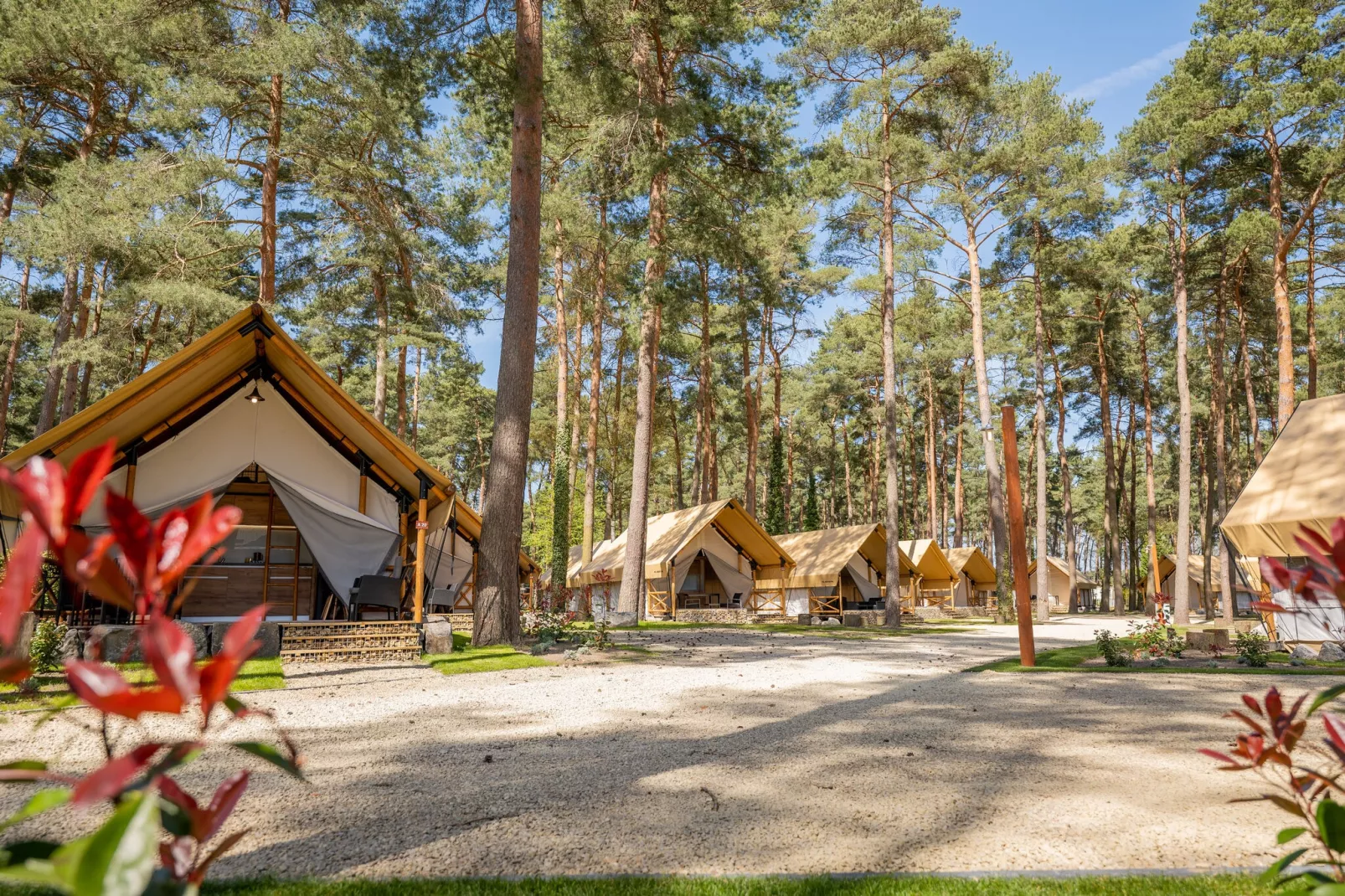 Resort Hoge Kempen 5-Exterior summer