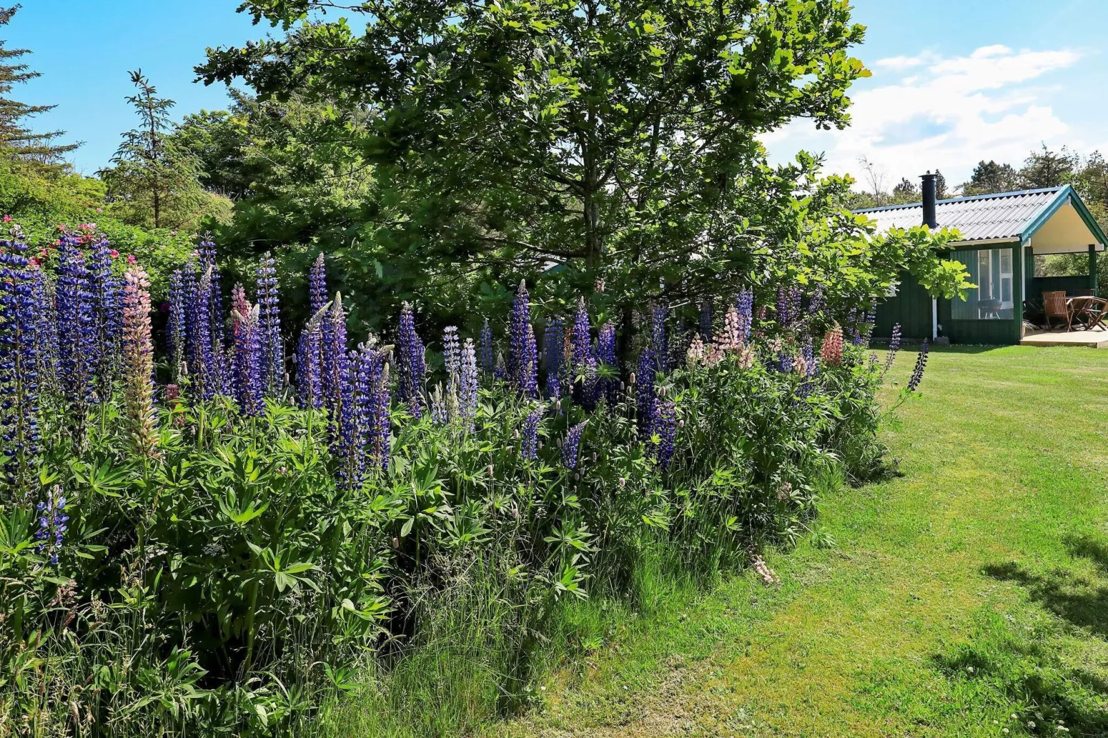 5 person holiday home in Hjørring-View
