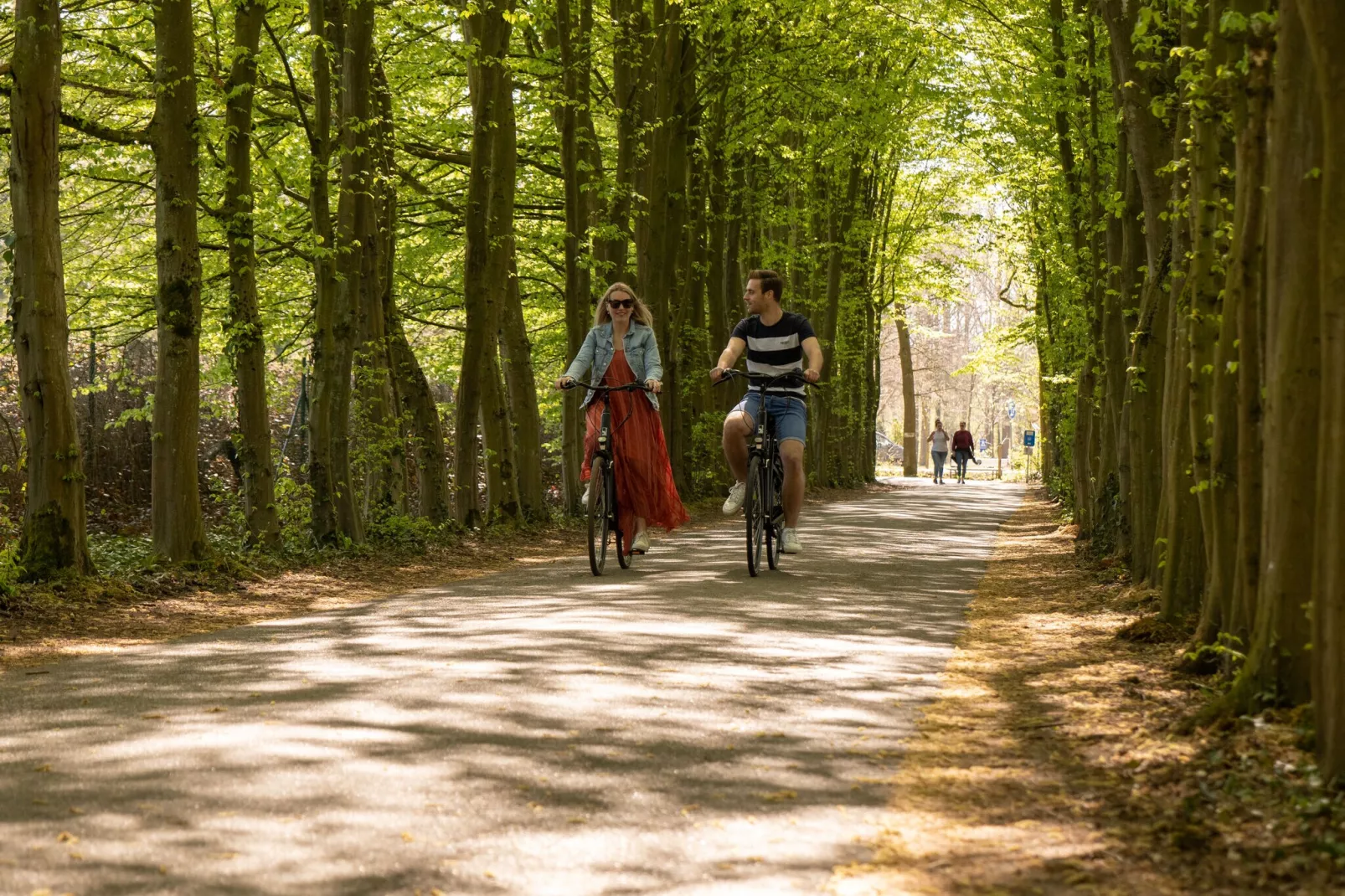 Resort Hoge Kempen 5-Areas summer 5km