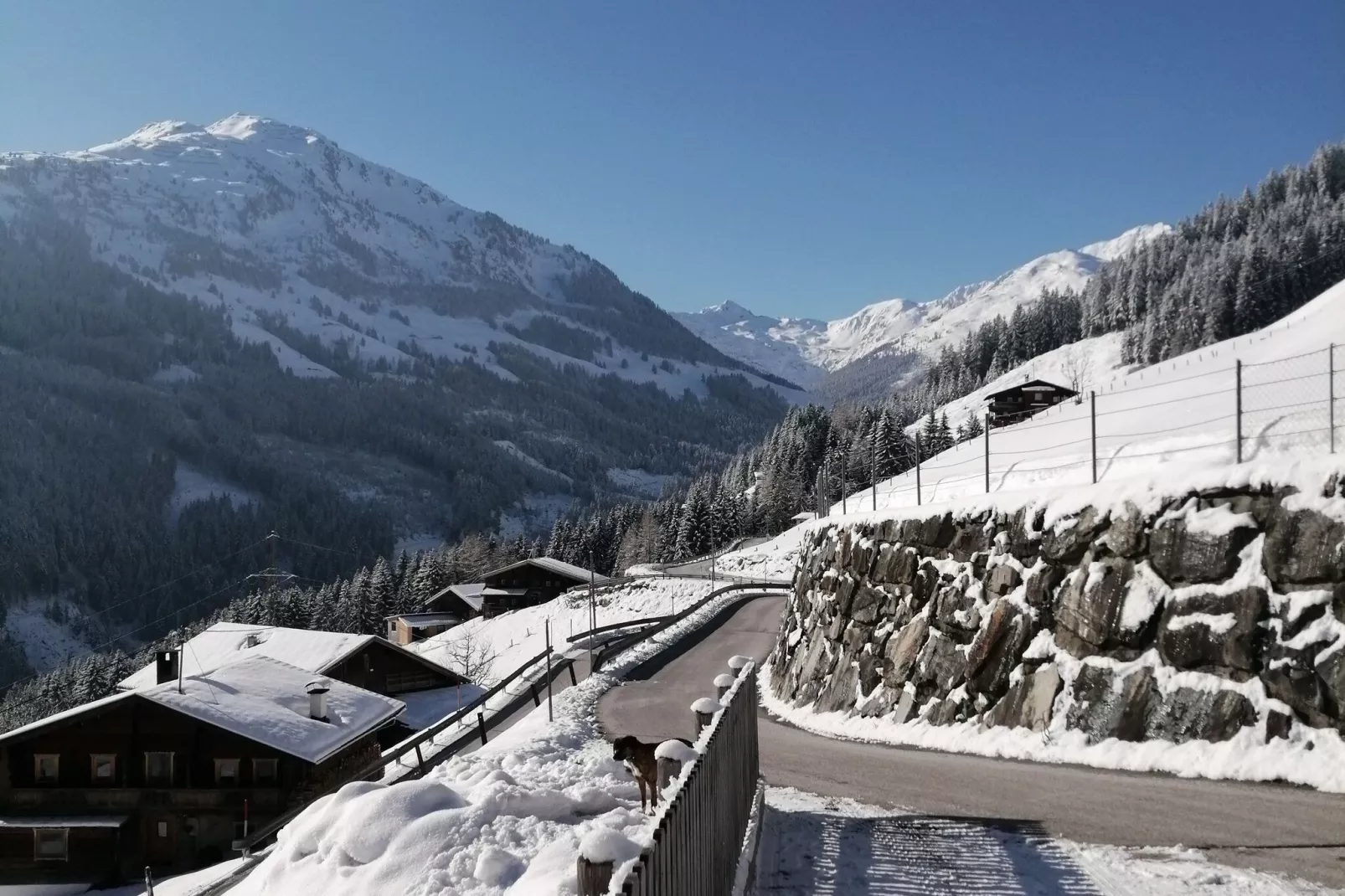 Ferienhaus Schöser-View winter