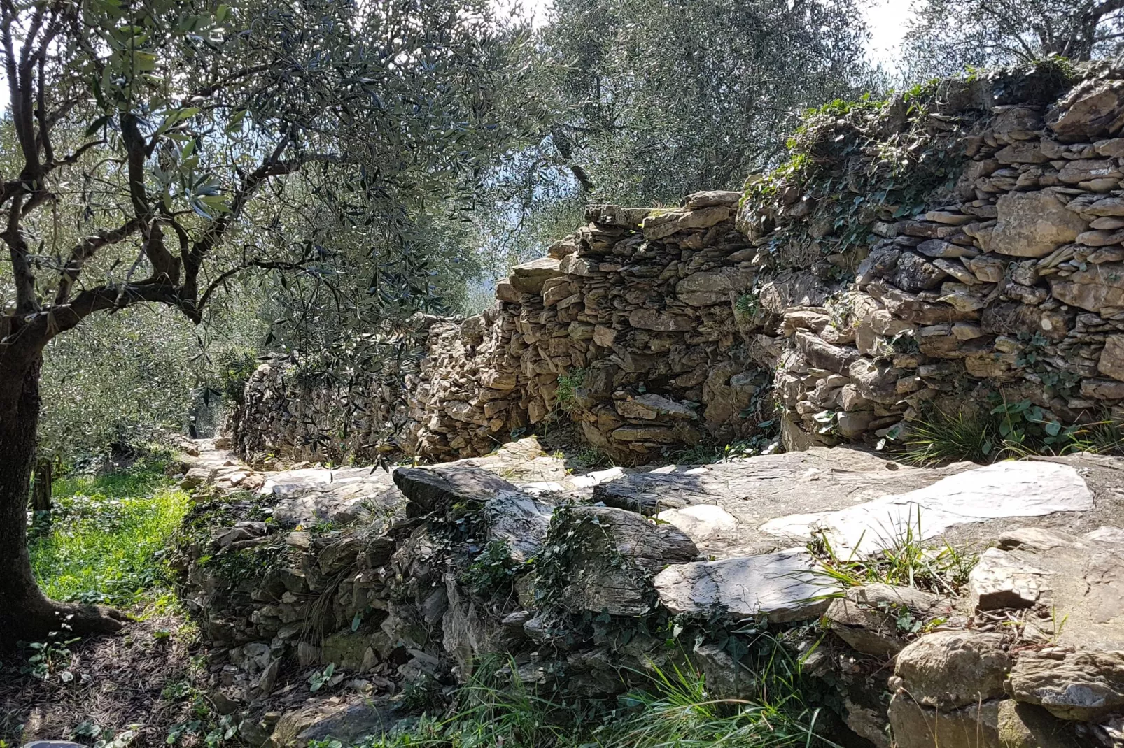 La Panoramica-Ambiente