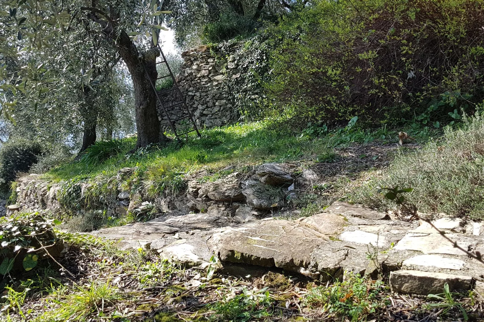 La Panoramica-Ambiente