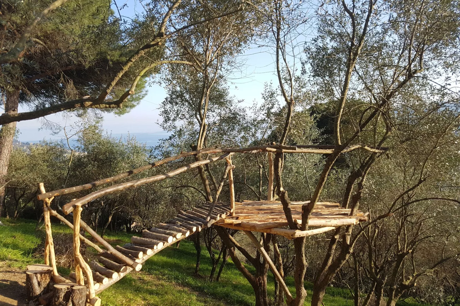 La Panoramica-Ambiente