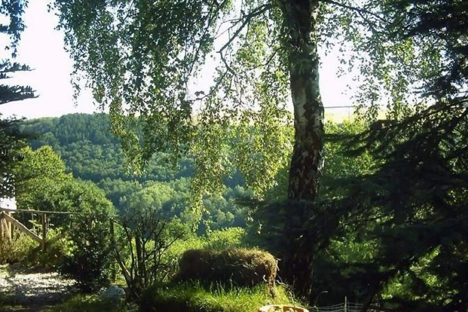 Hubertusstube-Gardens summer