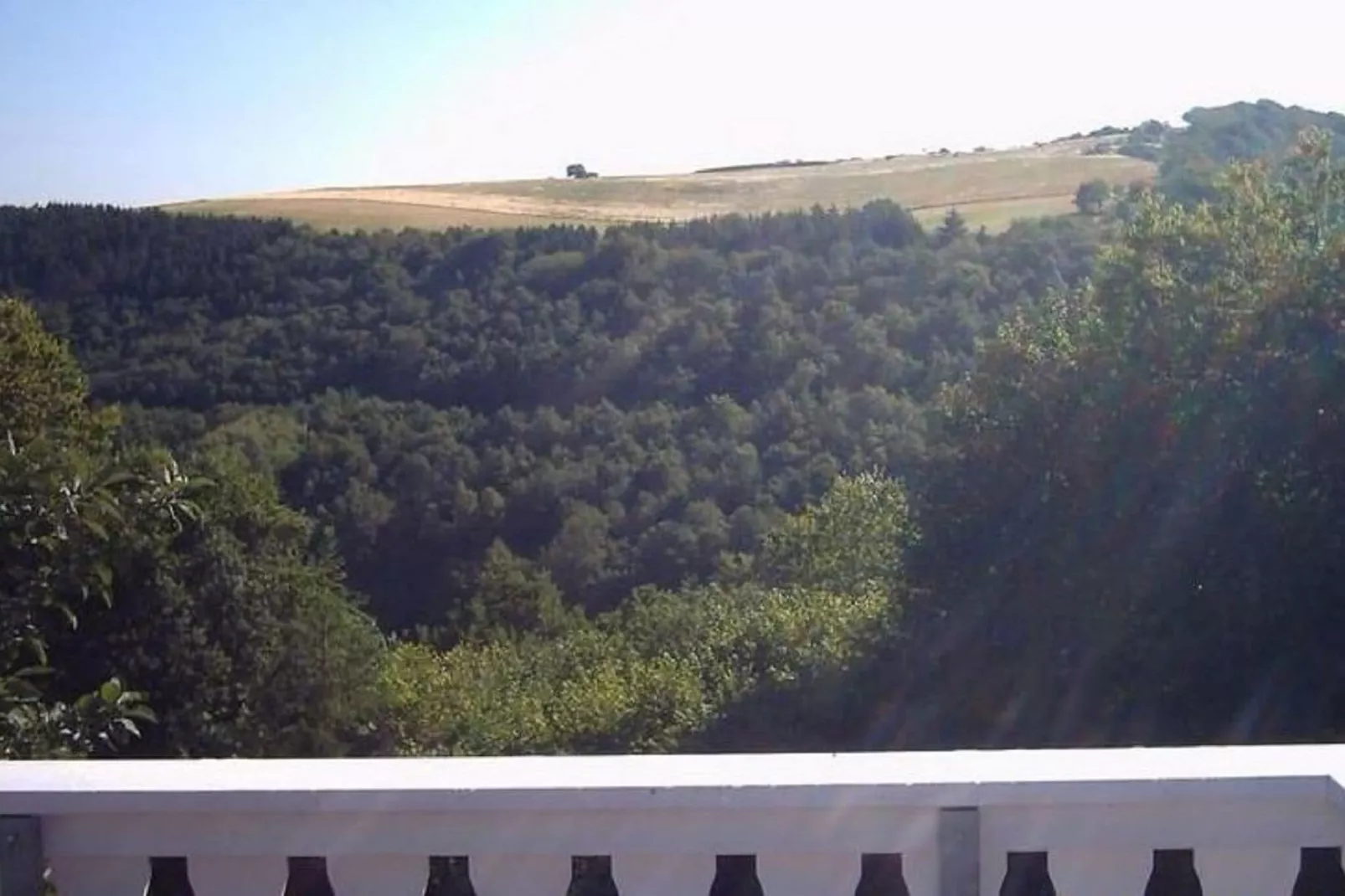 Hubertusstube-View summer