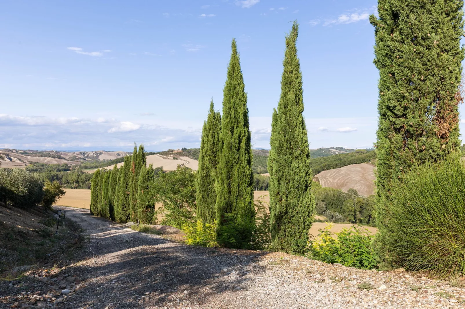 Matilde-Areas summer 1km