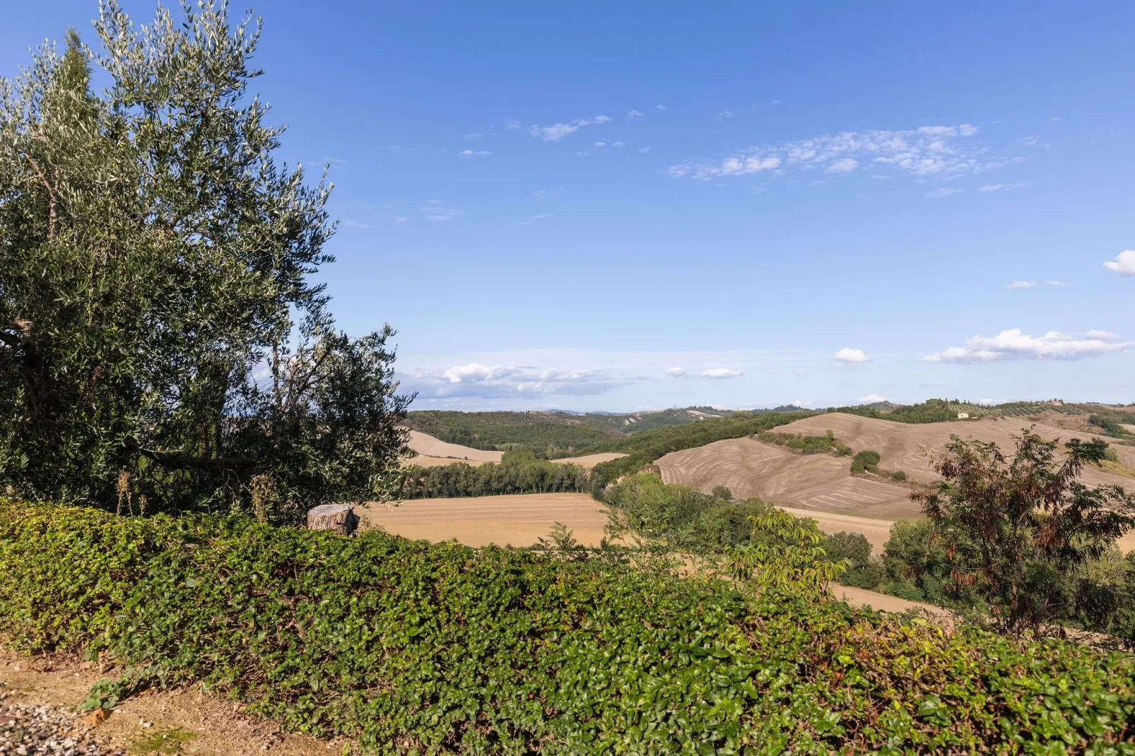 Matilde-View summer