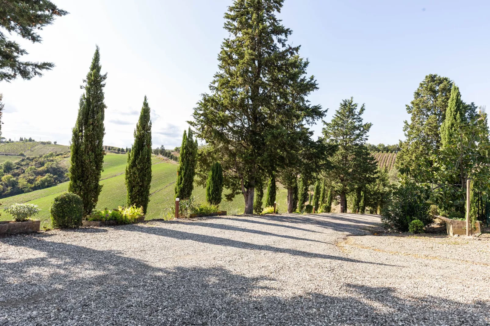 Tilla-Areas summer 1km