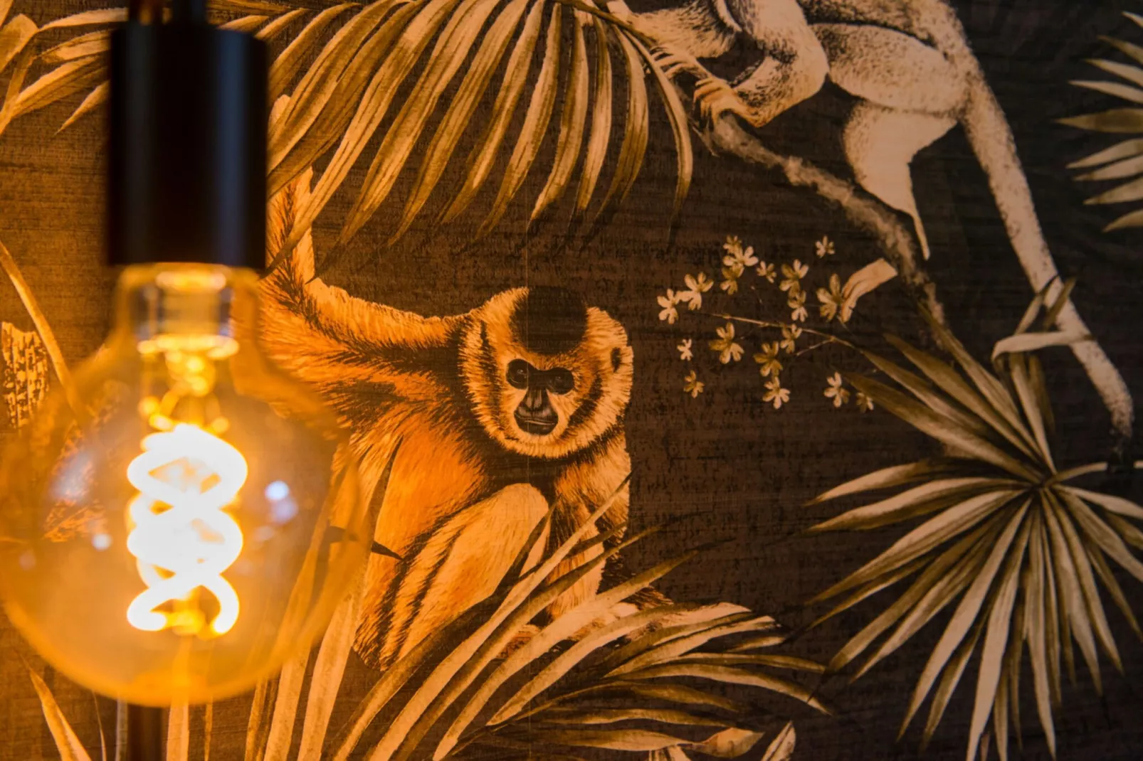 T Vlyt - wellness accommodatie-Atmosphere