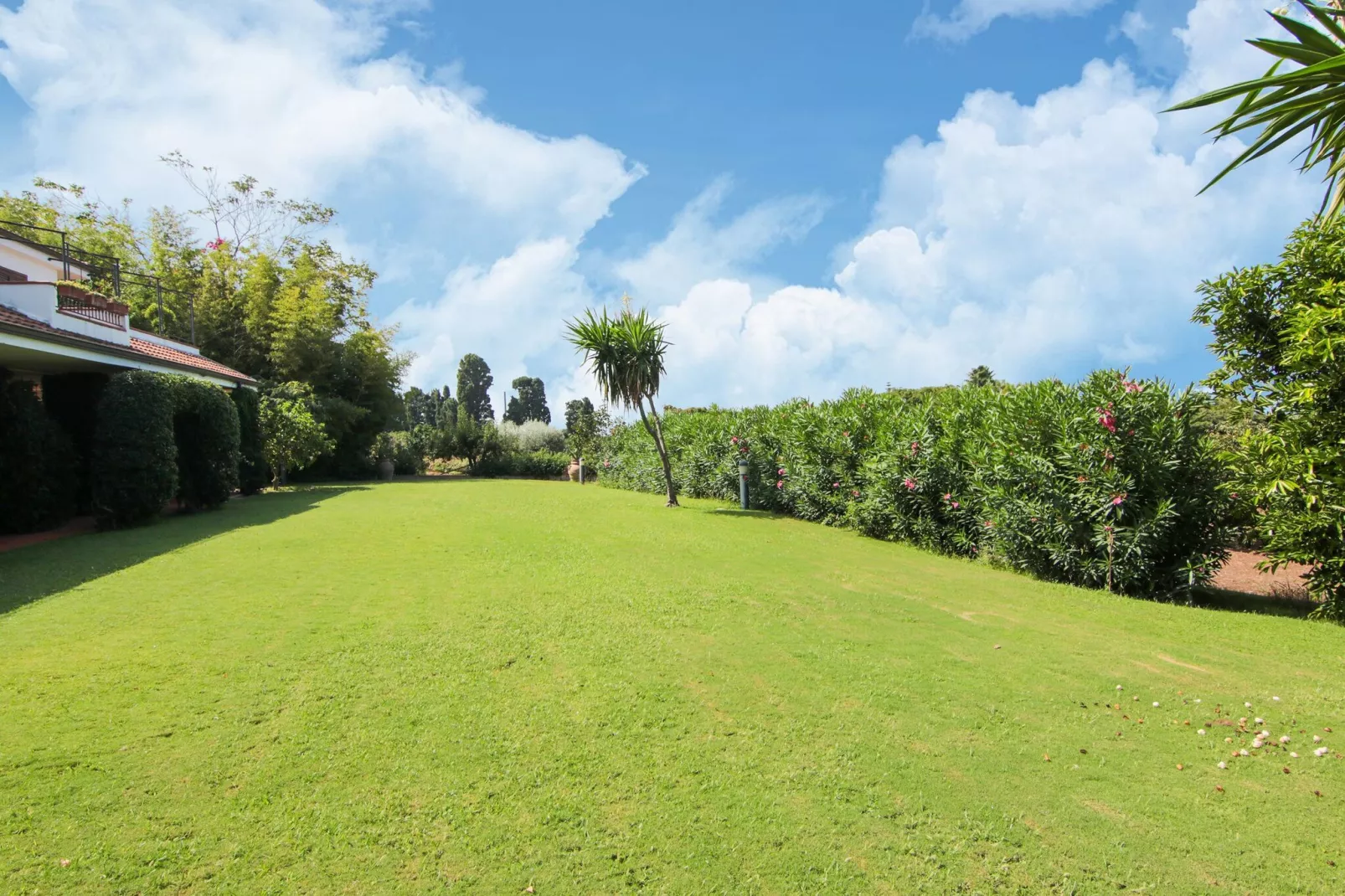 Villa Conte-Gardens summer
