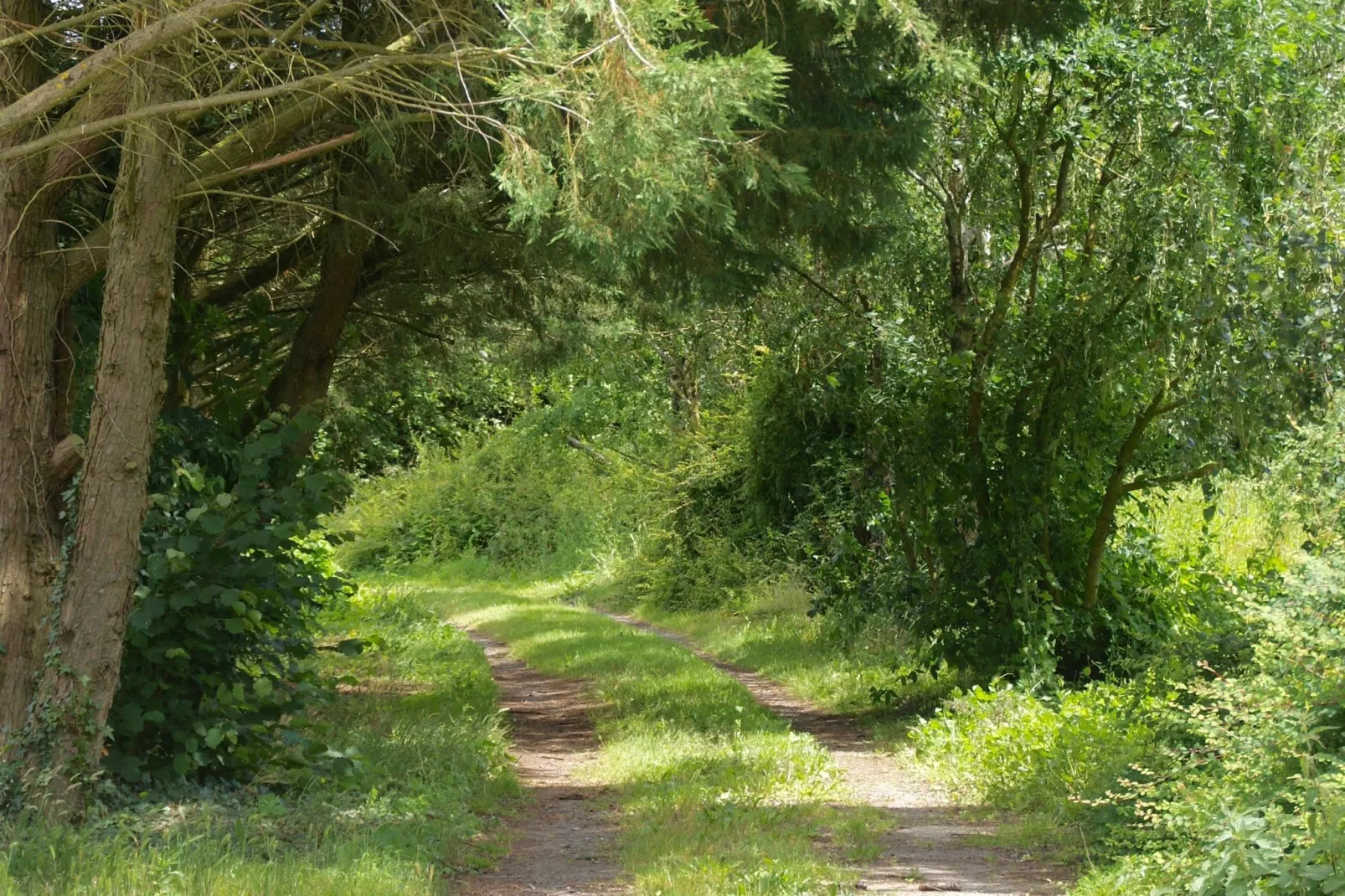 La Juquaise-Gebiete Sommer 5 km