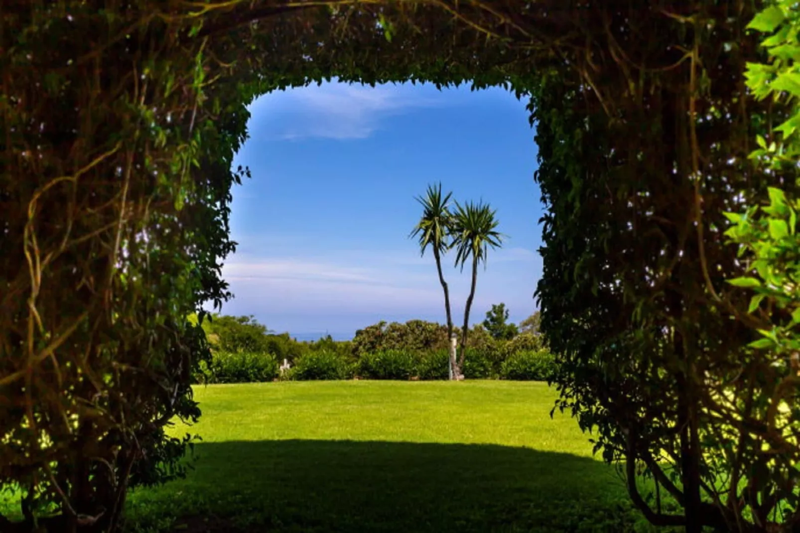Villa Conte-Gardens summer