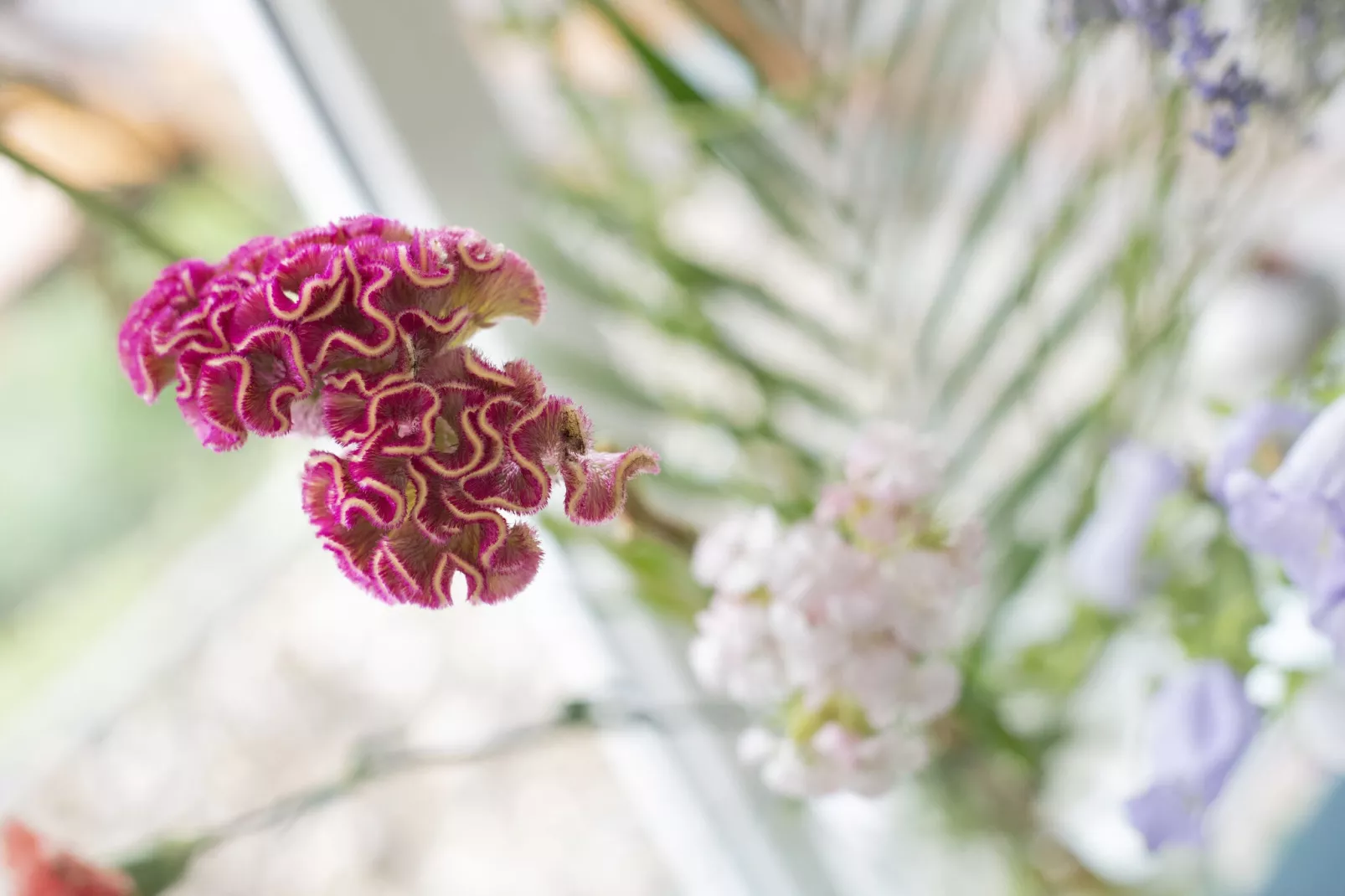 Friese Meren Villa's 4-Ambiente