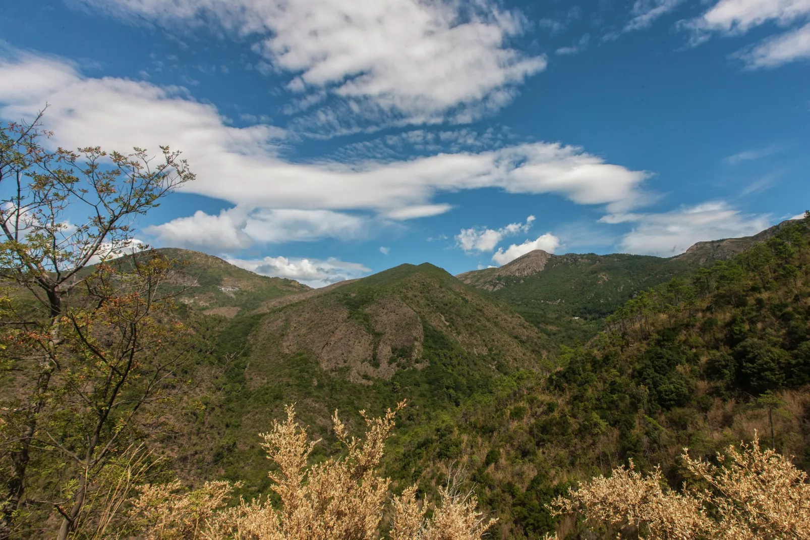 Gromolino-View summer