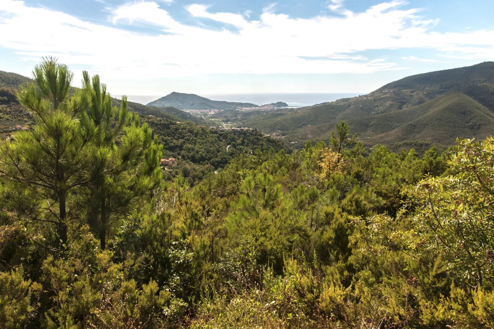 Gromolino-View summer