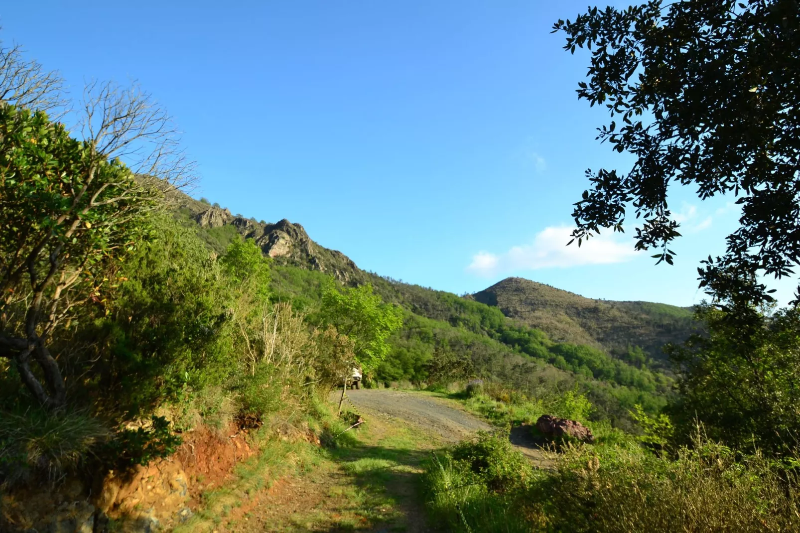 Gromolino-Areas summer 1km