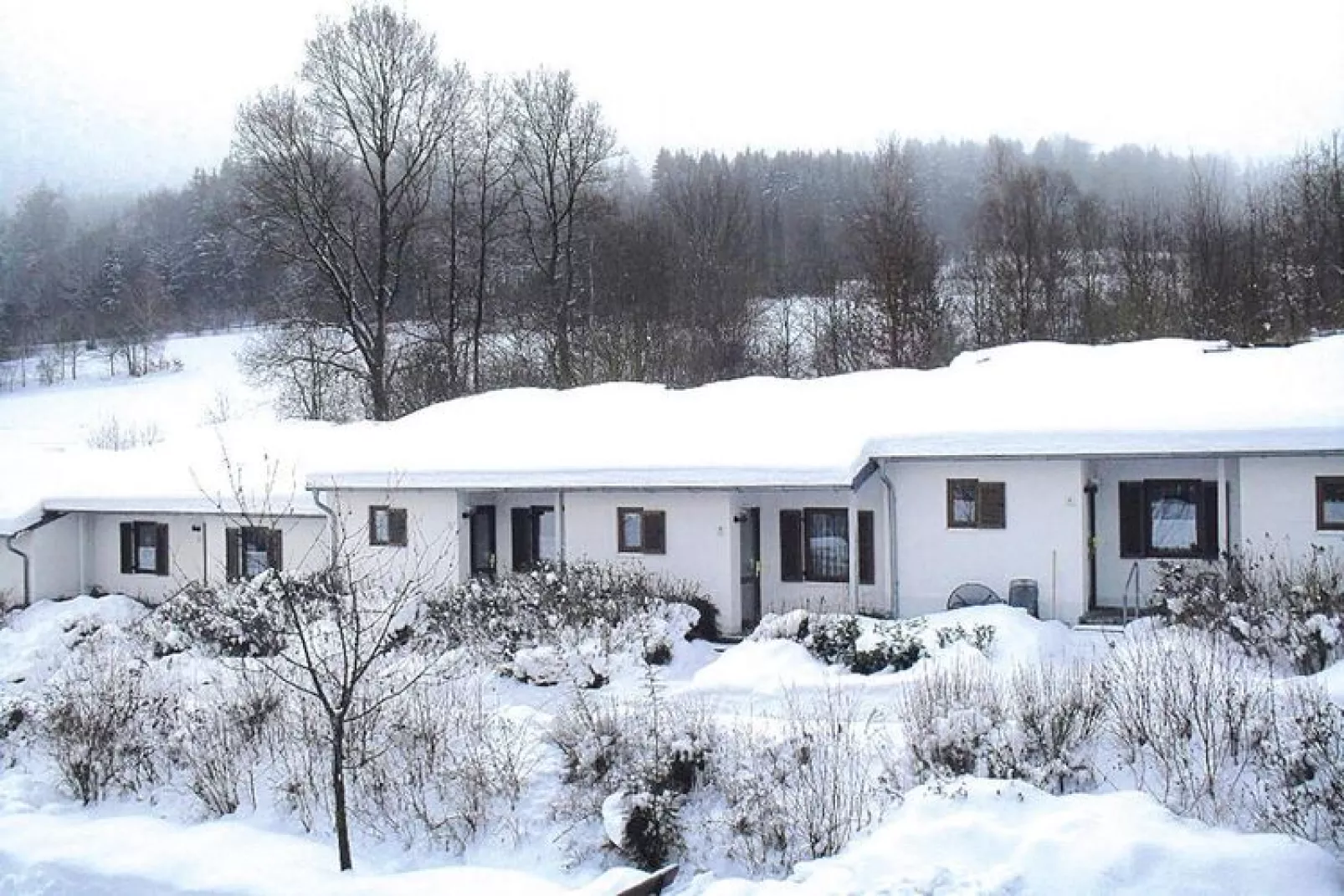 Ferienpark Falkenstein Typ A 48 qm-Exterior winter