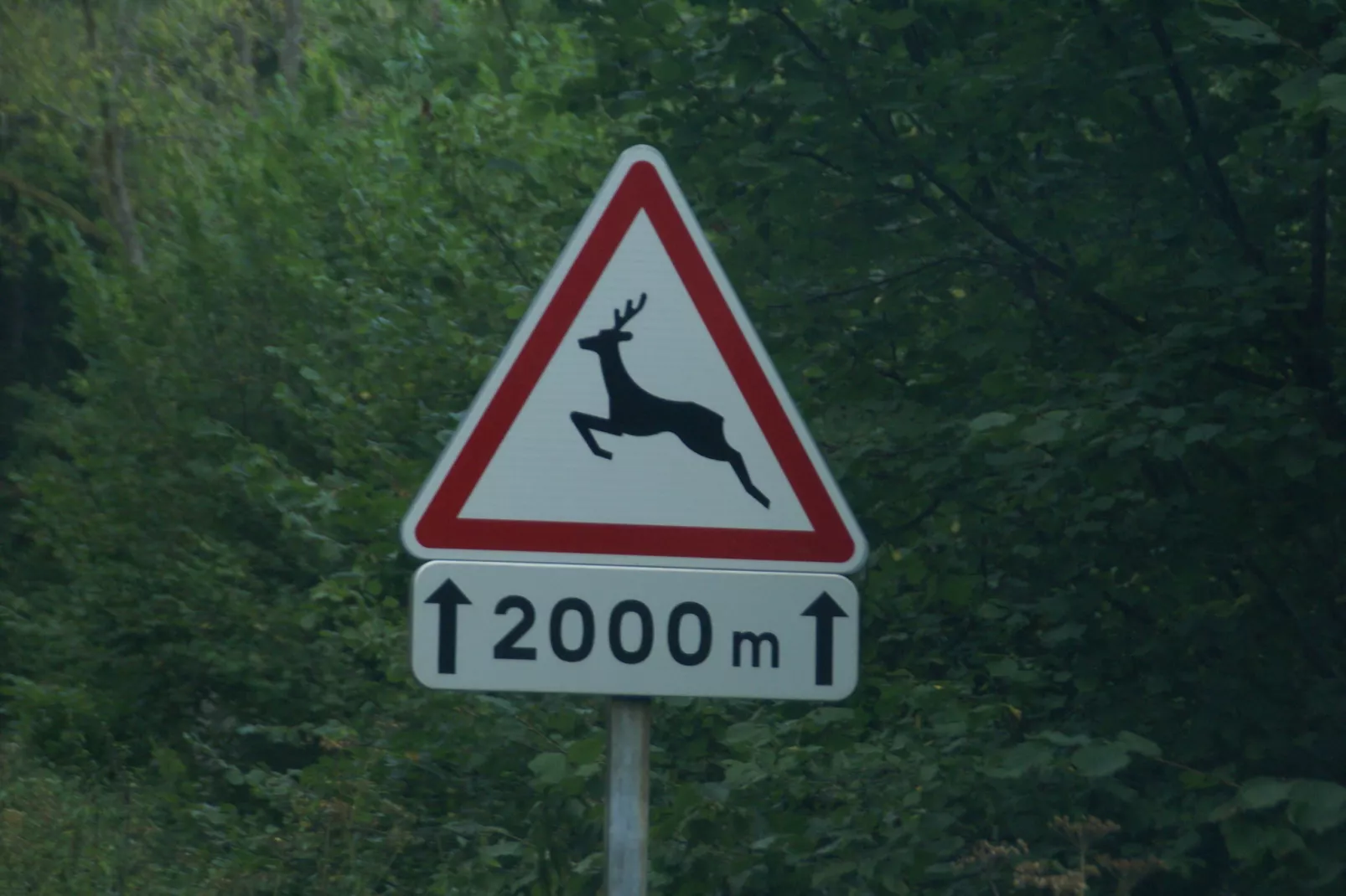 Maison de vacances - SEIGNEULLES-Zones d'été à 20 km