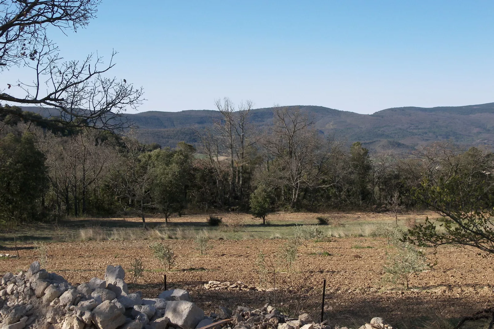 Le Grand Chêne-View summer