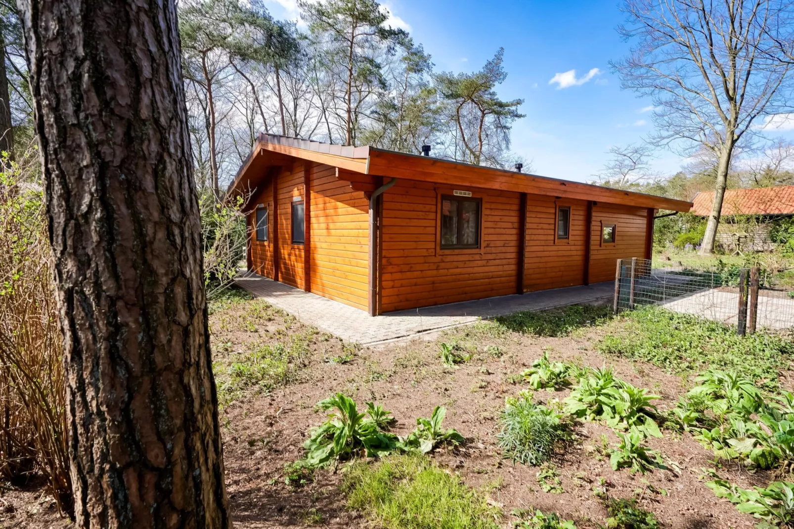 Finse Bungalow in Holten-Exterior summer
