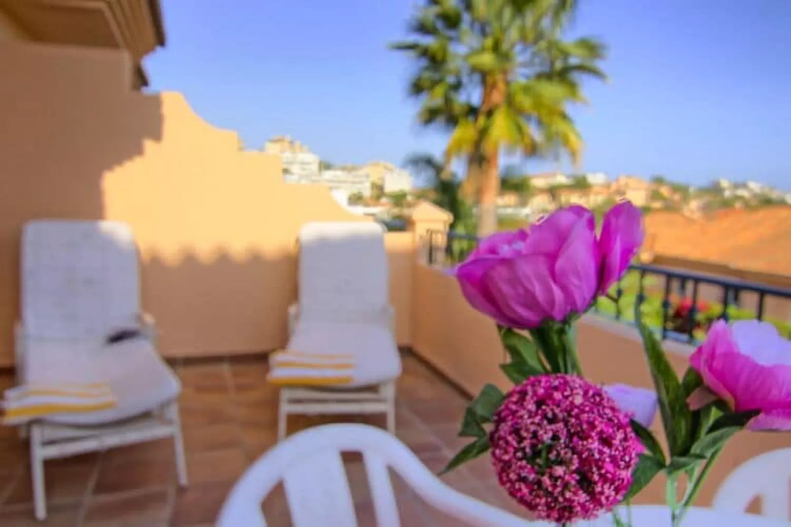 Casa Dublin - CT 118-Terrace balcony