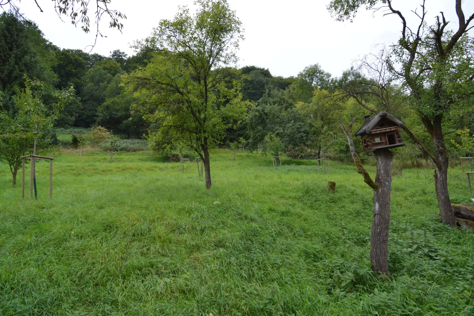 Eifelherz-Gardens summer