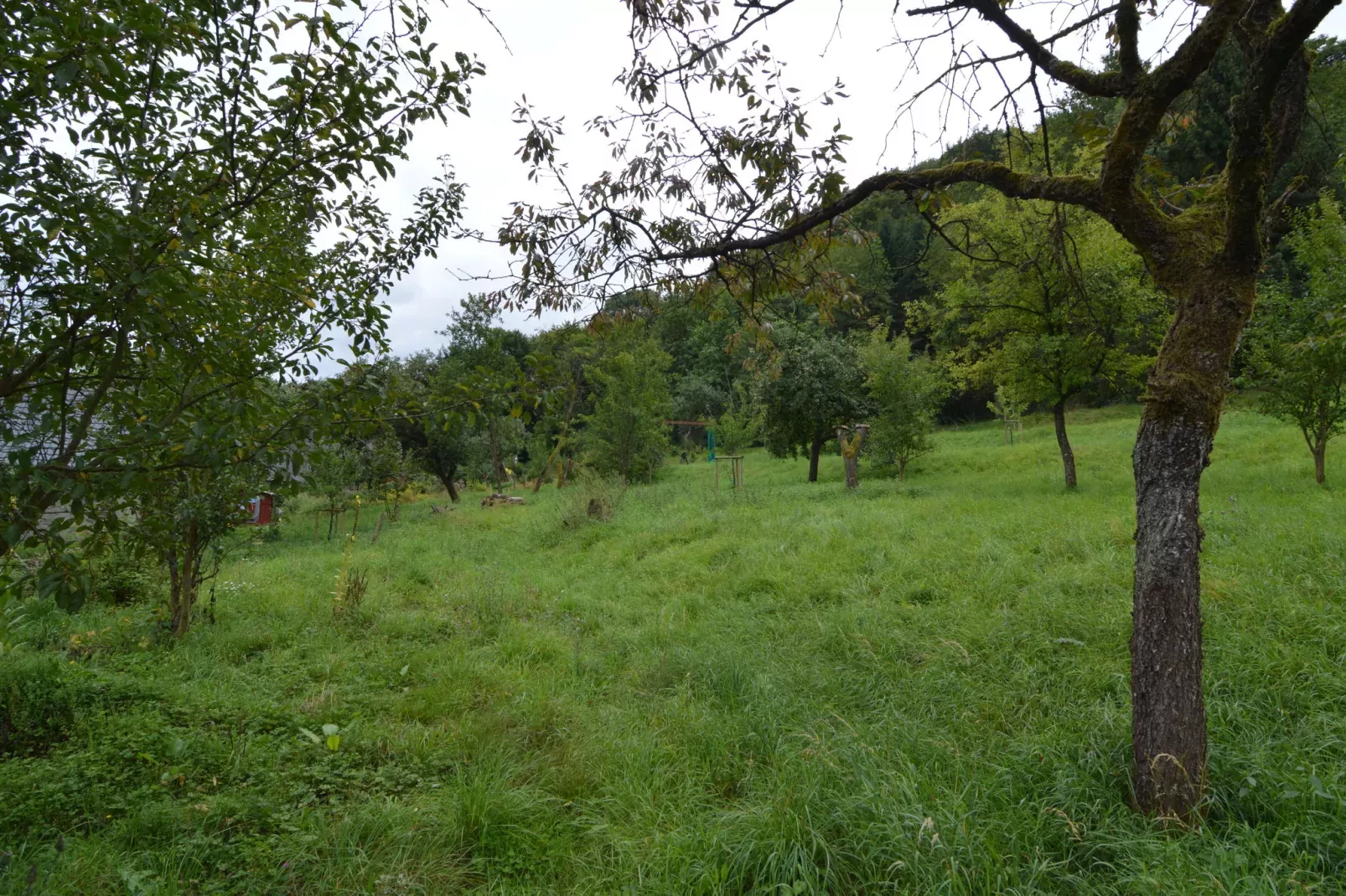 Eifelherz-Gardens summer