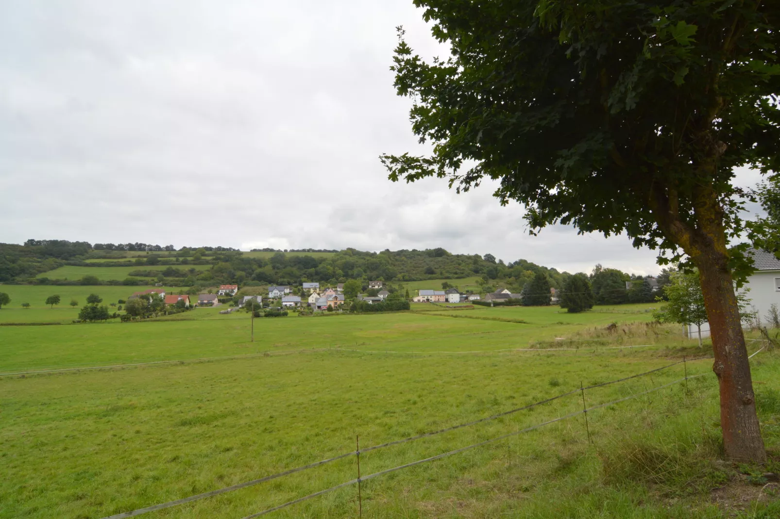 Eifelherz-Areas summer 1km