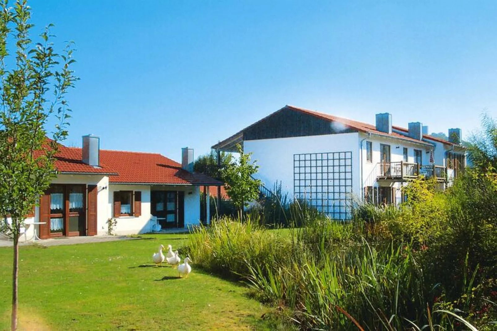 Ferienpark Falkenstein-Typ F 74 qm-Exterior summer